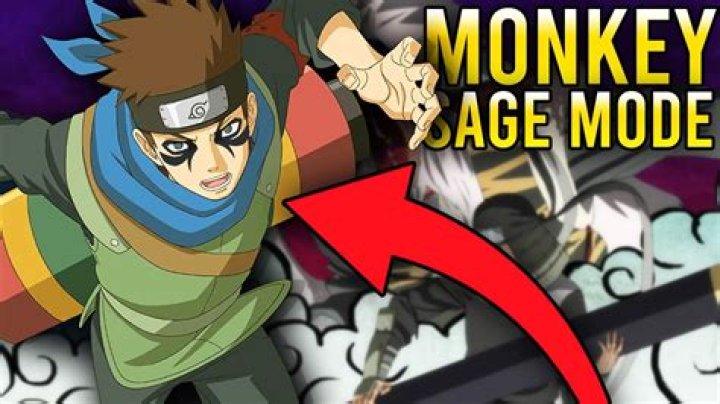 Is there a monkey sage mode?