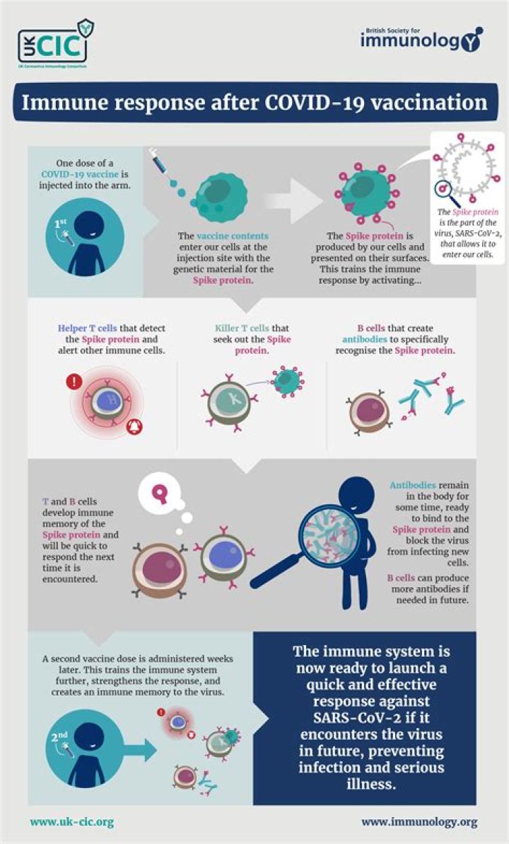 Is there a way to improve your immune response to COVID-19?