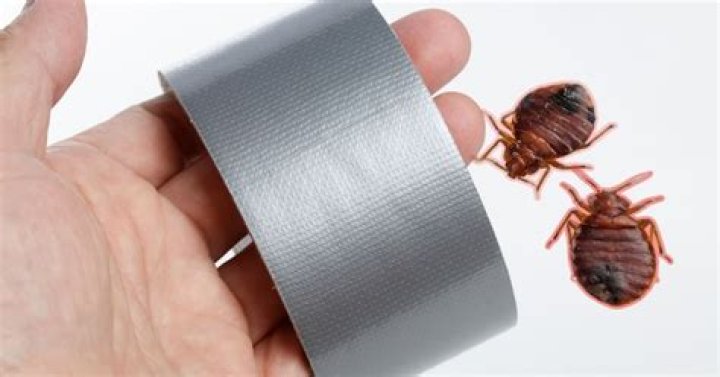 Is there a way to trap bed bugs?