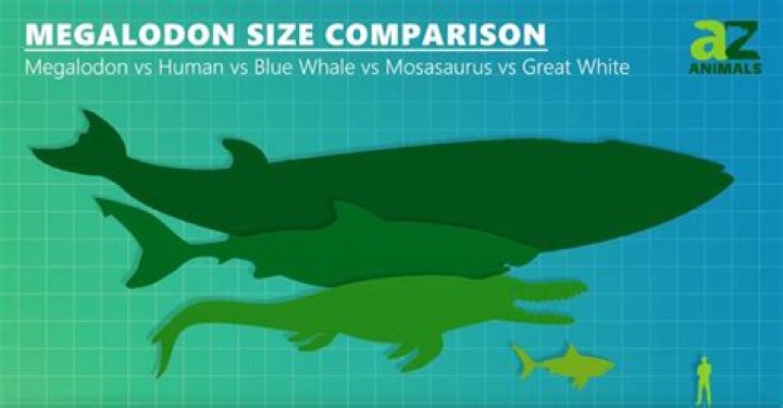 Is there an animal bigger than the Megalodon?