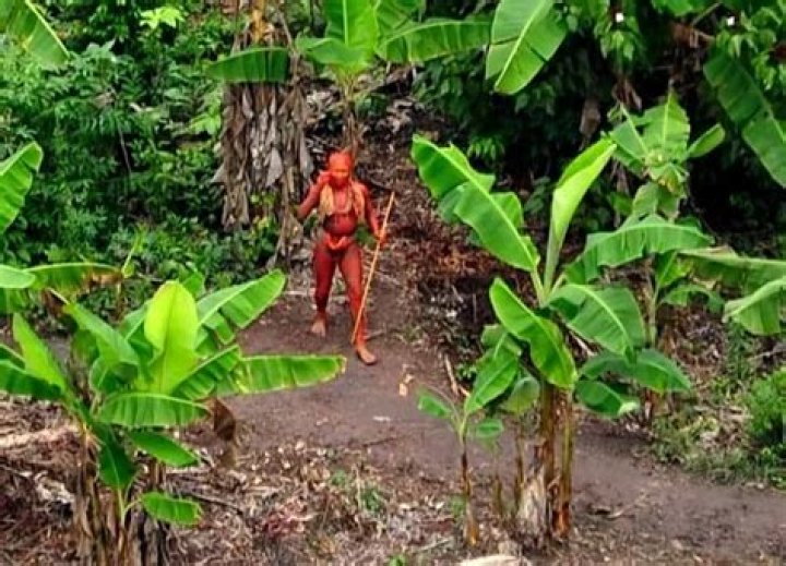 Is there any untouched land?