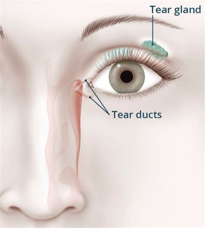Is there DNA in your tears?