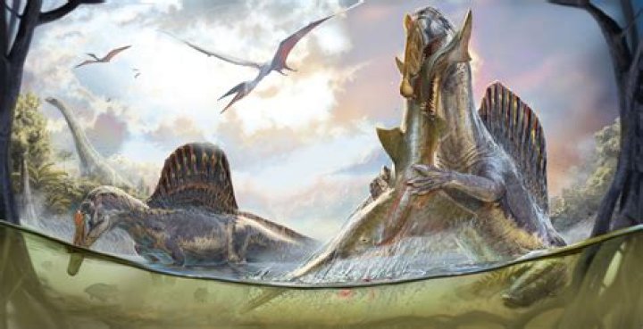 Is there fish in every body of water?