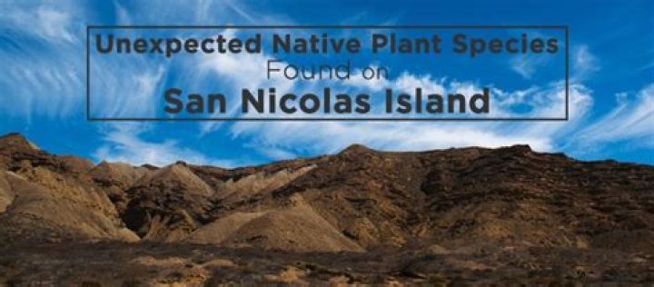 Is there fresh water on San Nicolas Island?