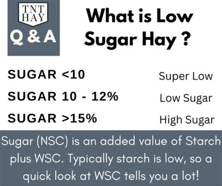 Is timothy hay low in sugar?