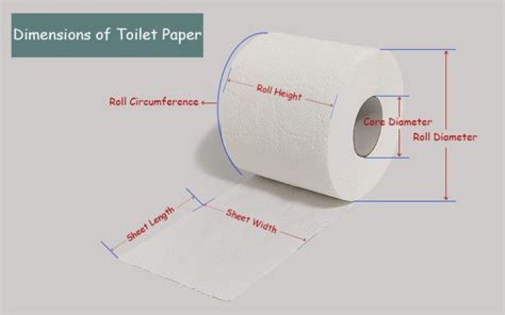 Is toilet paper good for rats?