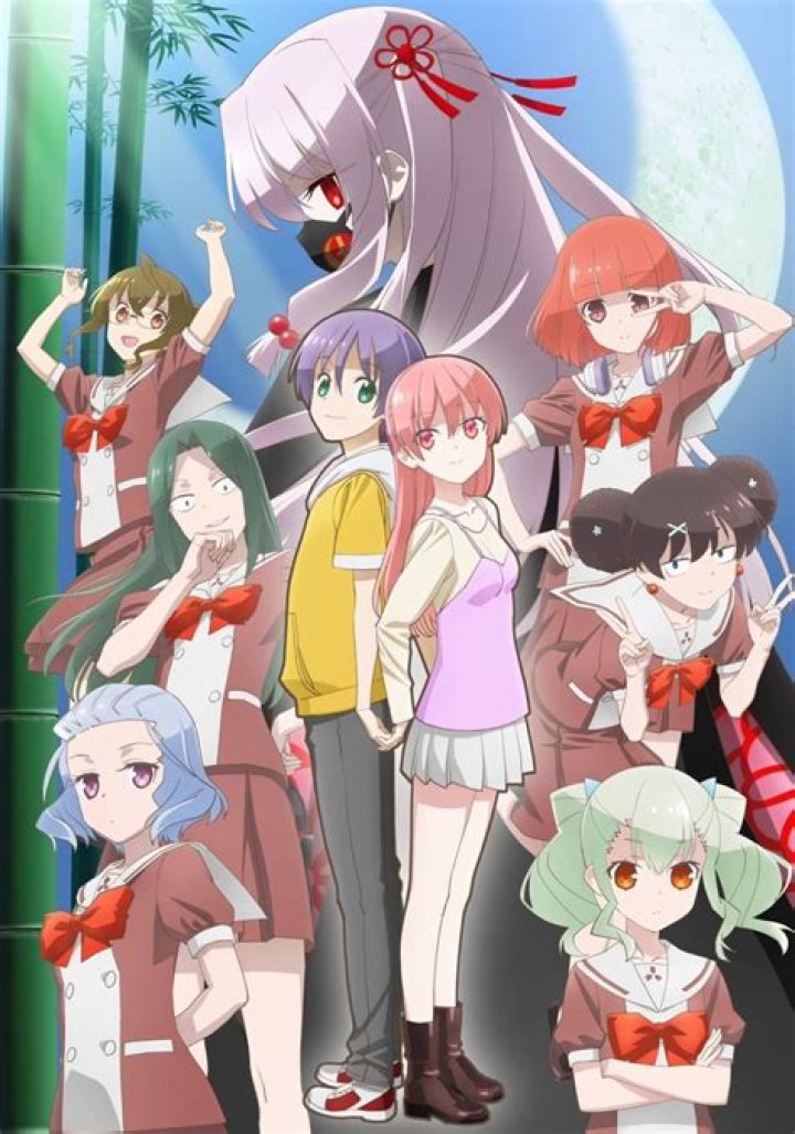 Is Tonikawa getting a season 2?