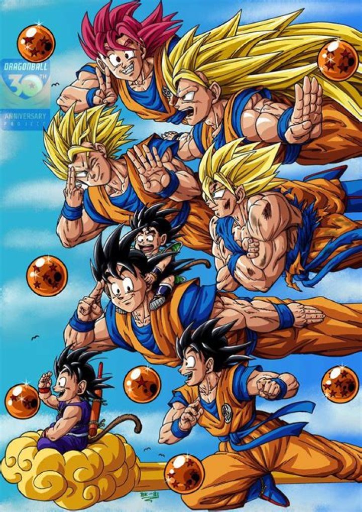 Is Vegeta older than Goku?