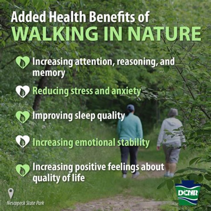 Is walking good for DVT?