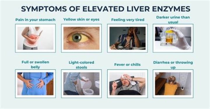 Should I be worried about elevated liver enzymes?