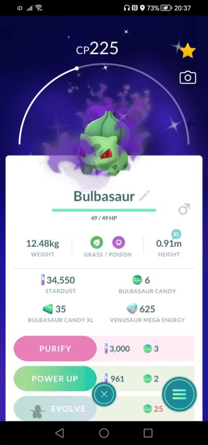 Should I purify my shiny shadow Pokemon?