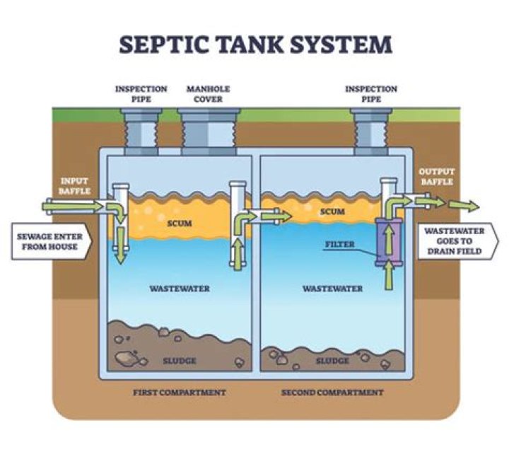 Should I put yeast in my septic?