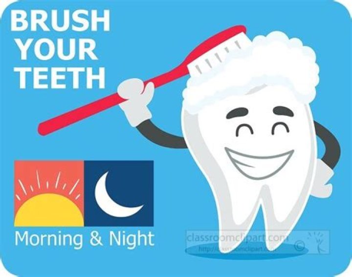Should you brush your teeth at night or in the morning?