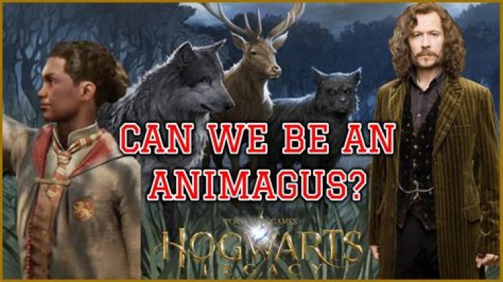 Was Lily Potter an Animagus?