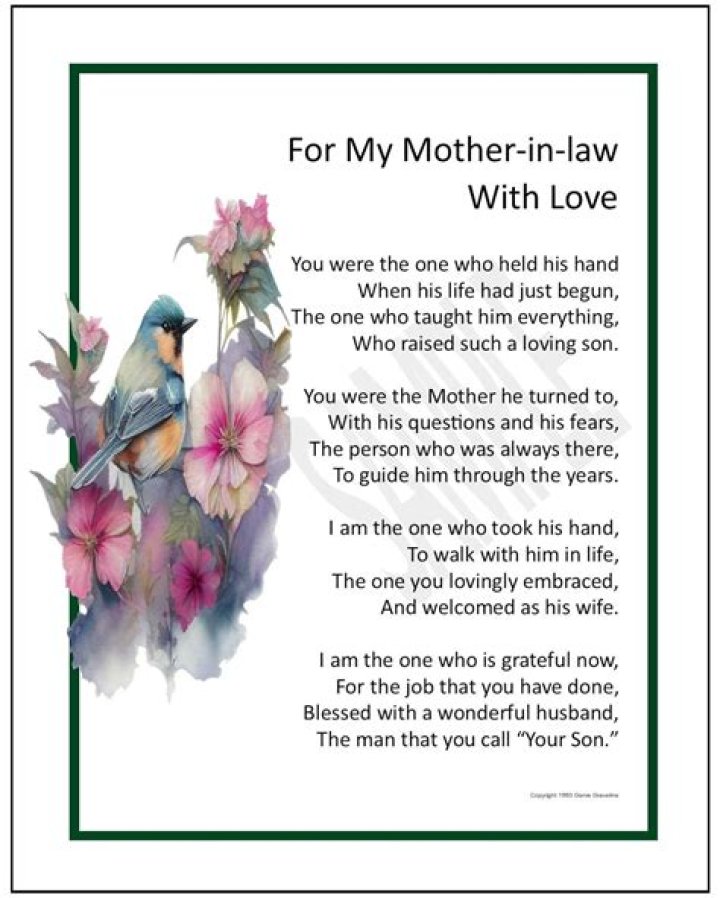 What a mother in law should not do?