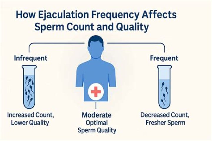 What affects sperm the most?