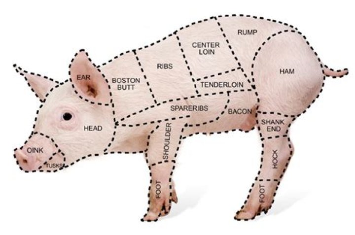 What animal is ham?