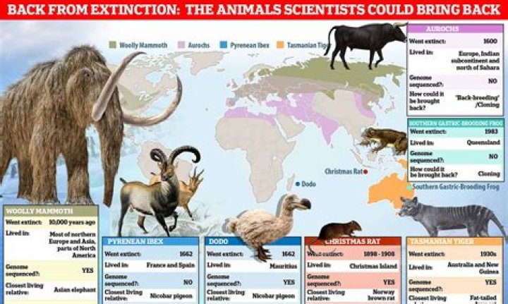 What animals are trying to bring back?