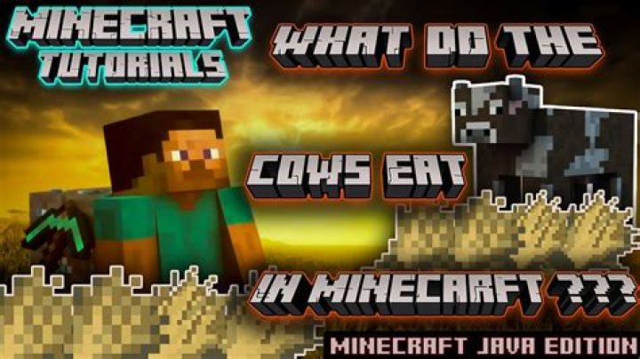 What animals eat Minecraft?
