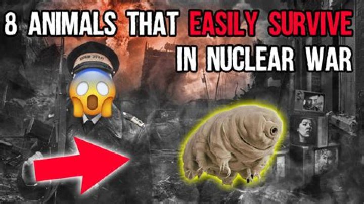 What animals would survive a nuclear holocaust?