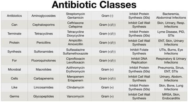 What antibiotics treat wound infections?