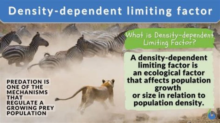 What are 3 density-dependent factors and how do they work to control the size of a population?