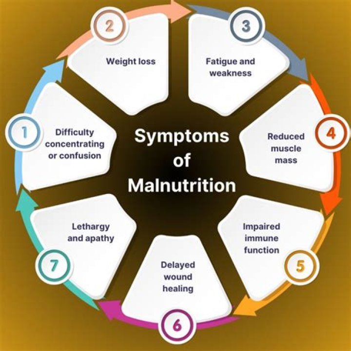 What are 3 effects of malnutrition?
