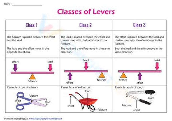 What are 3 types of levers?