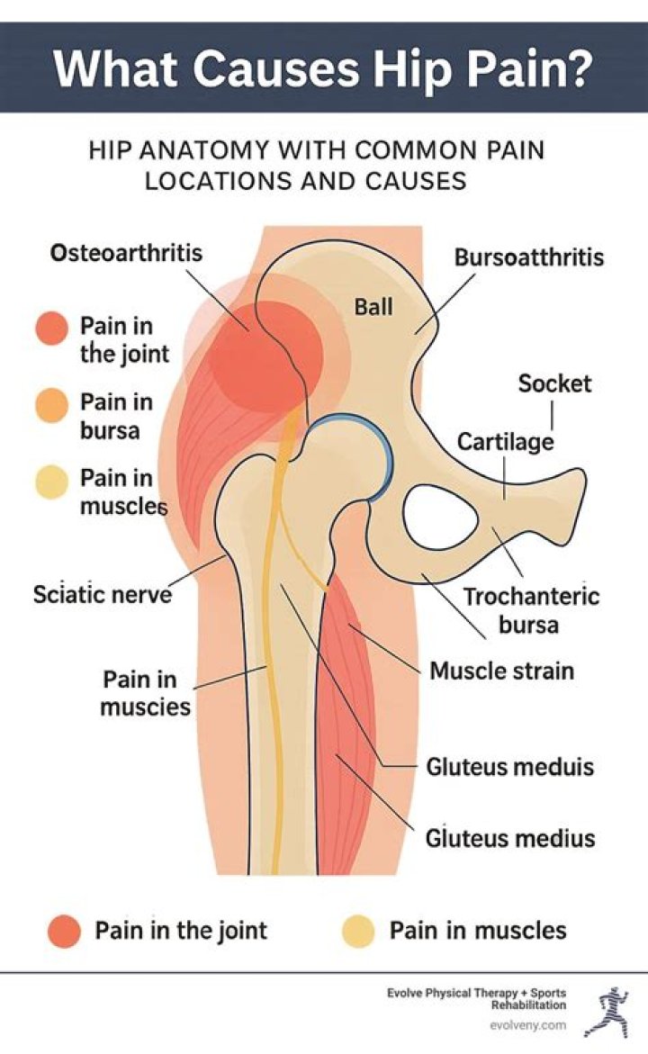 What are common hip problems?