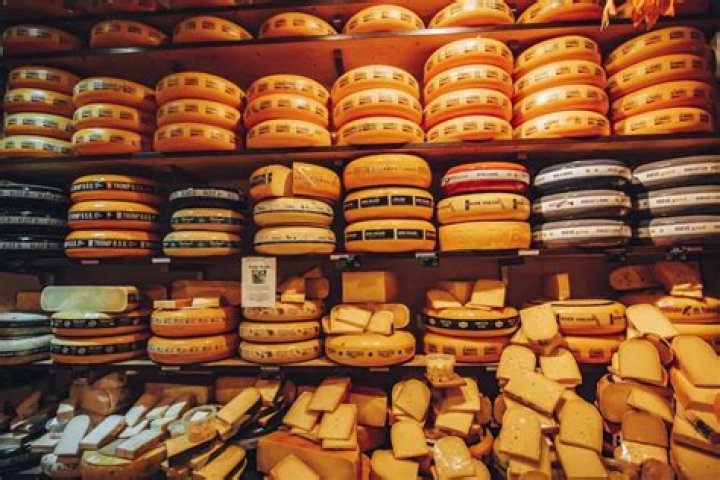 What are Dutch known for?