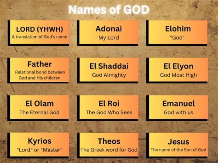What are other names for consumers?