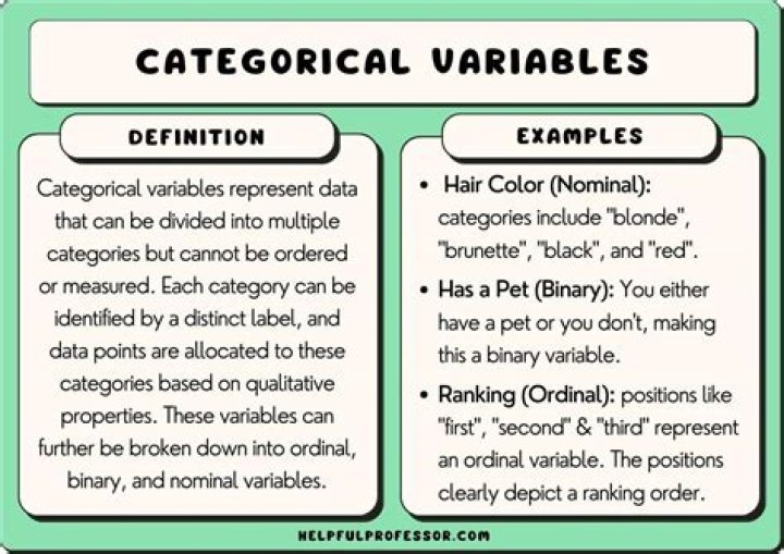 What are the 3 categorical variables?