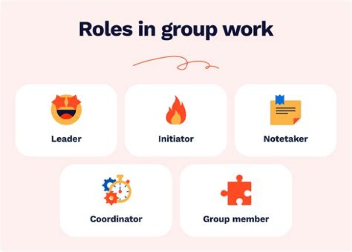 What are the 3 types of group roles?