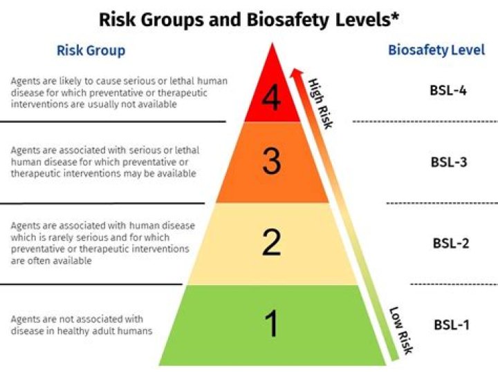 What are the 4 risk levels?