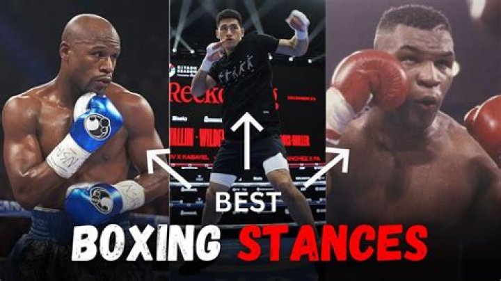 What are the 4 styles of boxing?