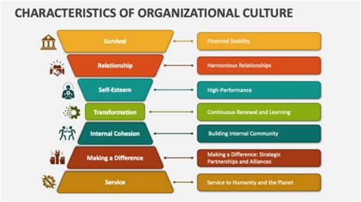 What are the 5 characteristics of organization?