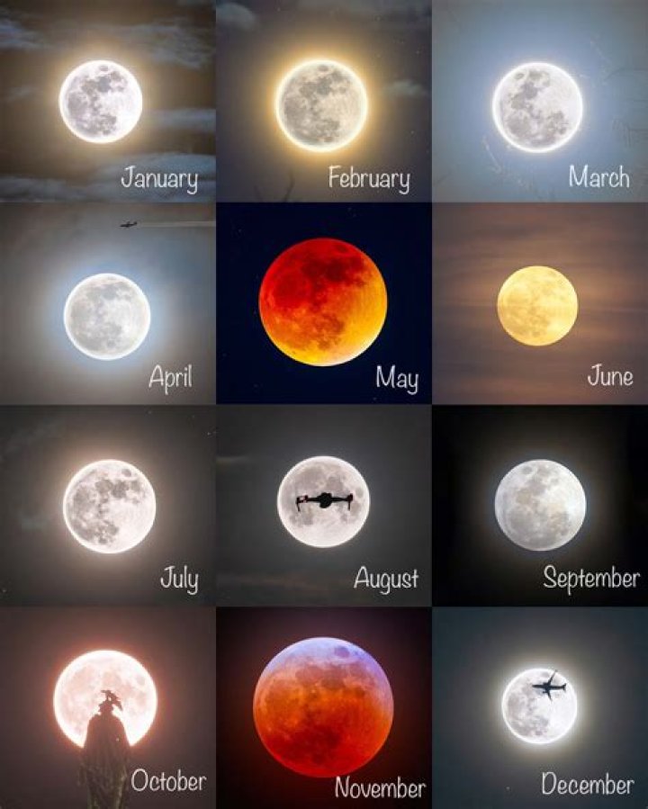 What are the 8 types of moons?