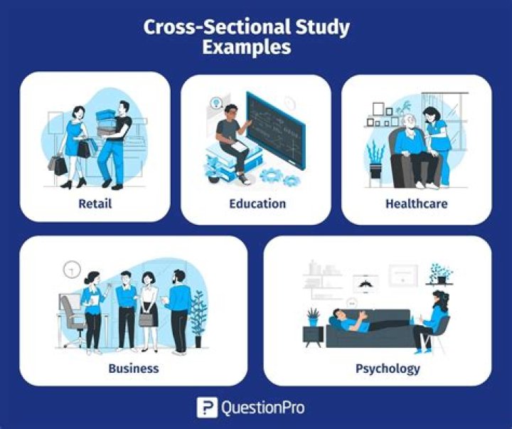 What are the advantages of using a cross-sectional research study quizlet?