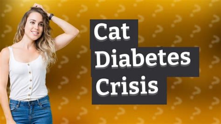 What are the final stages of diabetes?