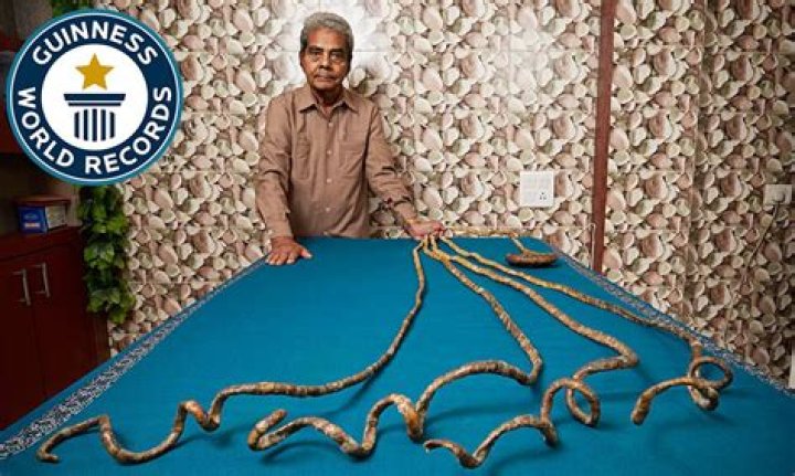 What are the silliest World Records?