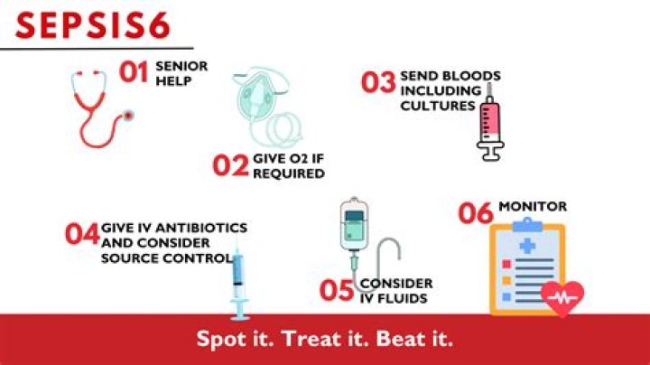 What are the six steps of sepsis?