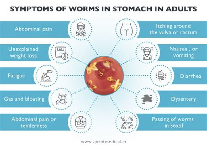 What are the symptoms of worms in the body?