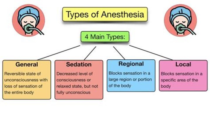 What are the three types of HealthCare?