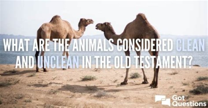 What are the unclean animals in the Bible?