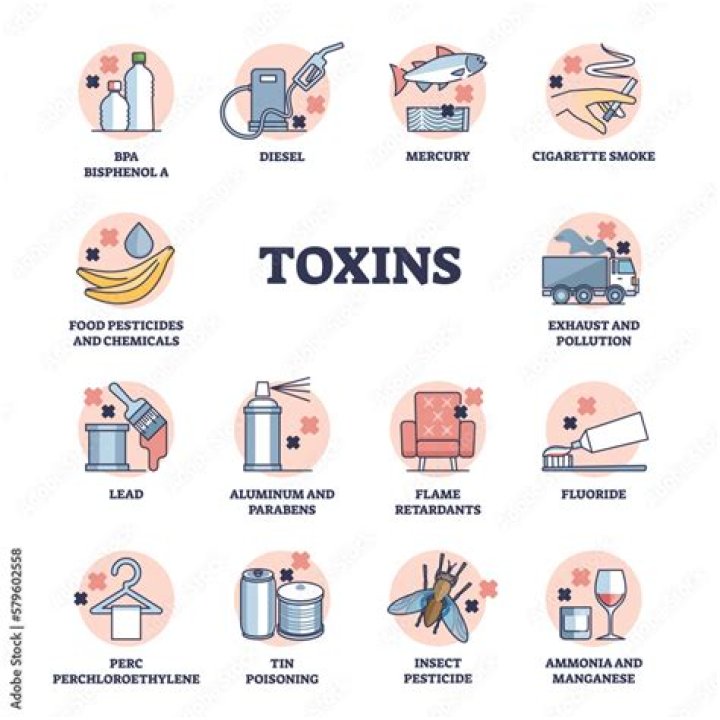What are toxins in the body?