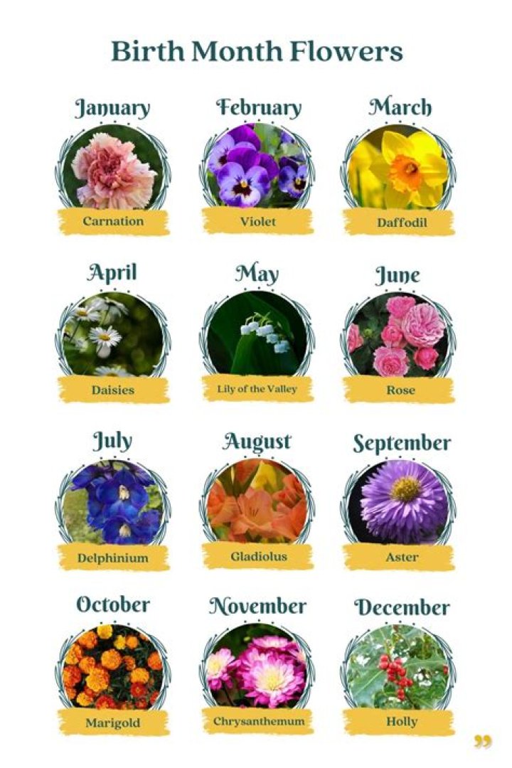 What birth month lives the shortest?