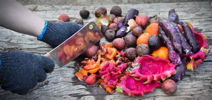 What can I do with rotten fruit and vegetables?