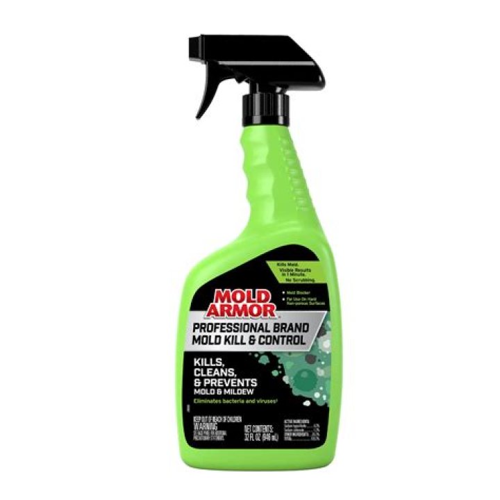 What can I spray on my carpet to prevent mold?