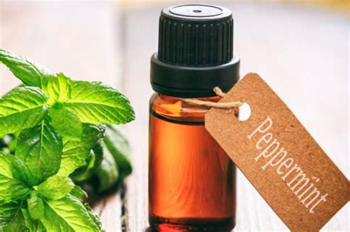 What can I use instead of peppermint oil?