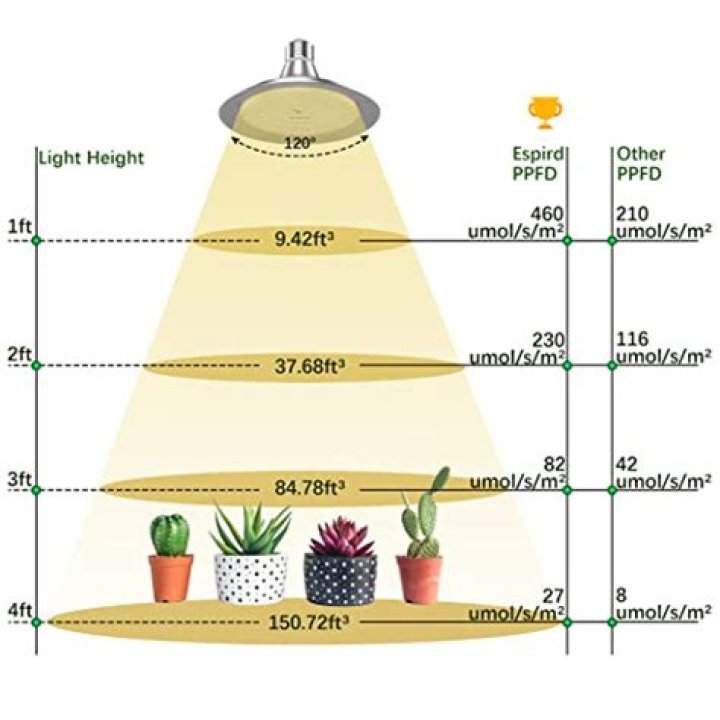 What can replace sunlight?